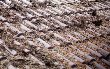 Salcombe roof cleaning companies