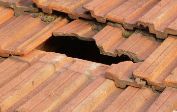 roof repair Salcombe, Devon