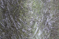 Salcombe fibreglass roof work